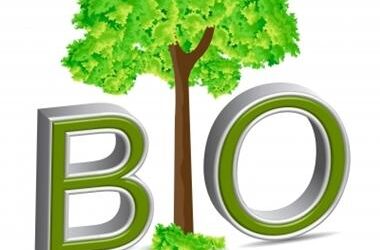 Mitől BIO a biokozmetikum?
