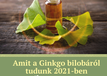Amit a Ginkgo bilobáról tudunk 2021-ben